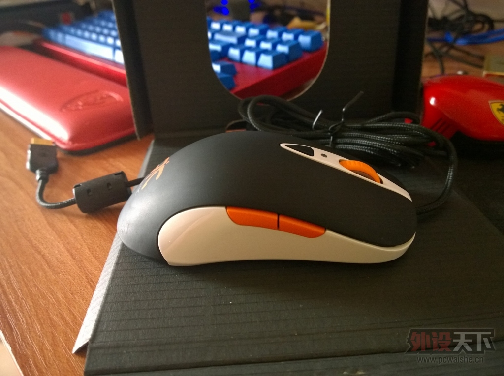 ���㶫���������SENSEI FNATIC��һ�����ѳ���