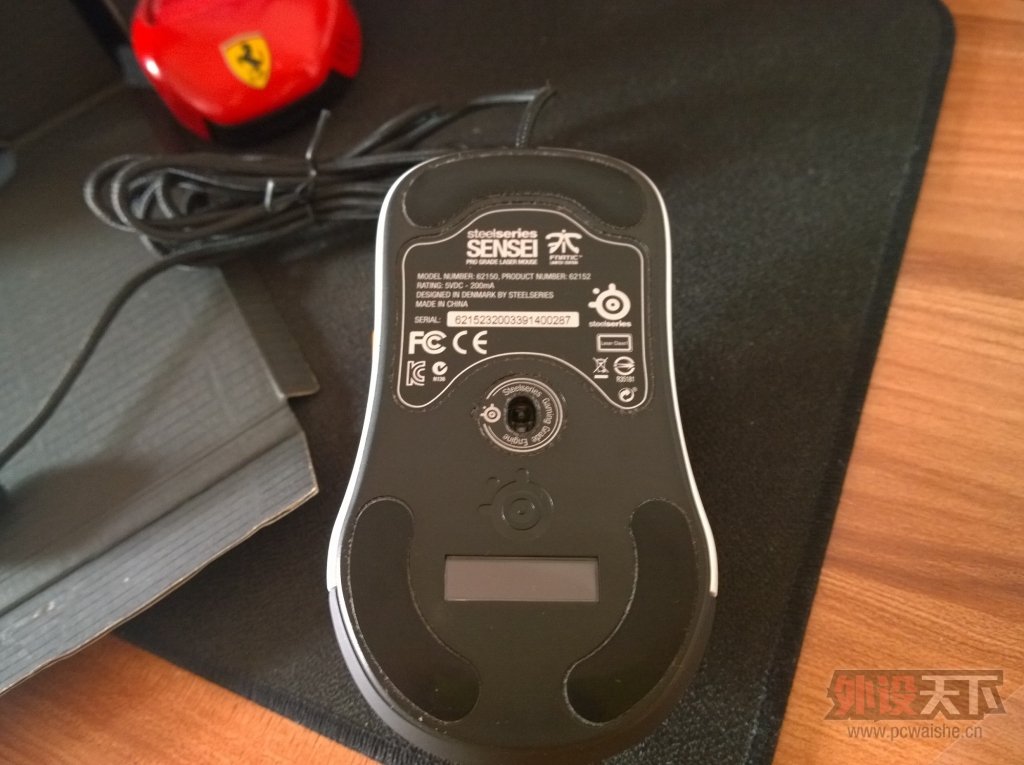 ���㶫���������SENSEI FNATIC��һ�����ѳ���