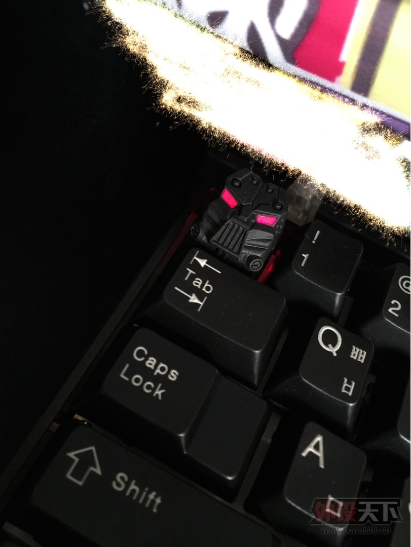 ���㶫�����۵�С����