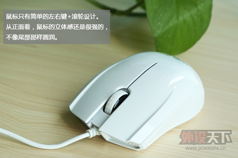 ������޵����ߵ���������Ϸ����ɫ������