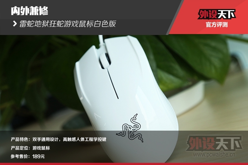 ������޵����ߵ���������Ϸ����ɫ������