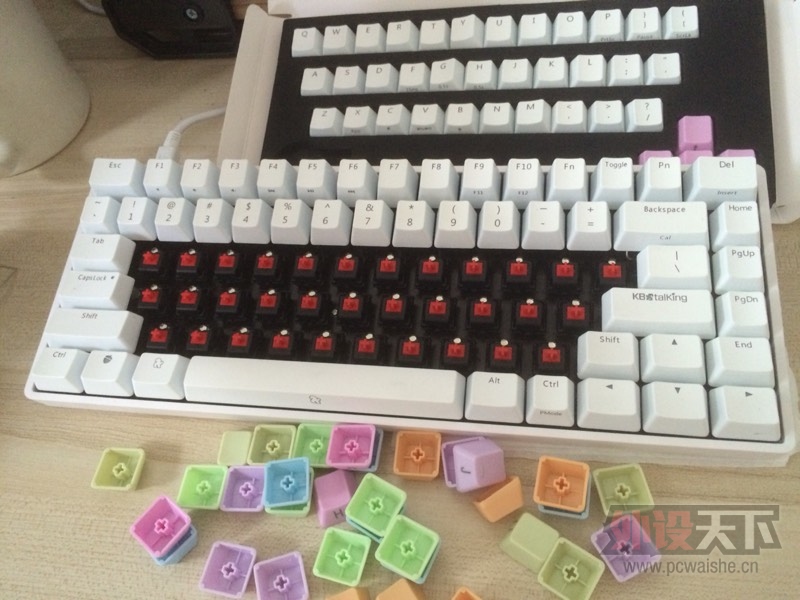 [����]��9.5����Race275%��ɫ�׹����