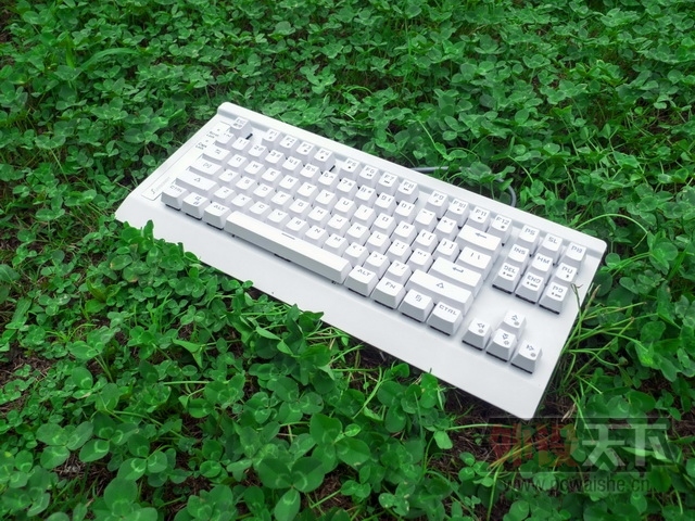ɭ���� K1 ��ɫ���Ͻ��--Ѥ��v���޺磬��ҹ������