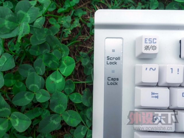 ɭ���� K1 ��ɫ���Ͻ��--Ѥ��v���޺磬��ҹ������