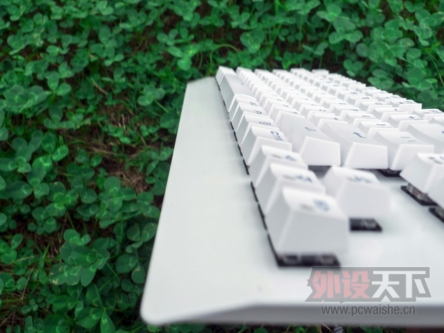 ɭ���� K1 ��ɫ���Ͻ��--Ѥ��v���޺磬��ҹ������