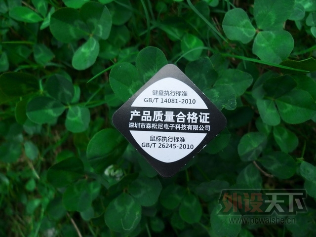 ɭ���� K1 ��ɫ���Ͻ��--Ѥ��v���޺磬��ҹ������