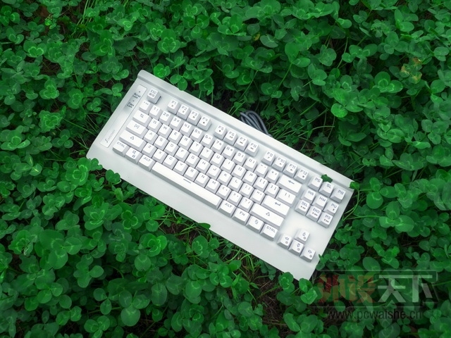 ɭ���� K1 ��ɫ���Ͻ��--Ѥ��v���޺磬��ҹ������