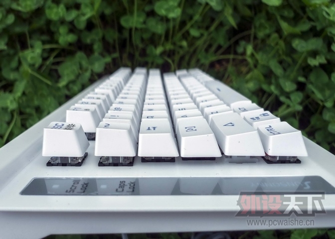 ɭ���� K1 ��ɫ���Ͻ��--Ѥ��v���޺磬��ҹ������