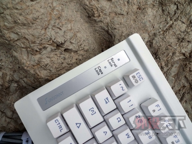ɭ���� K1 ��ɫ���Ͻ��--Ѥ��v���޺磬��ҹ������