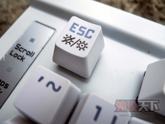 ɭ���� K1 ��ɫ���Ͻ��--Ѥ��v���޺磬��ҹ������