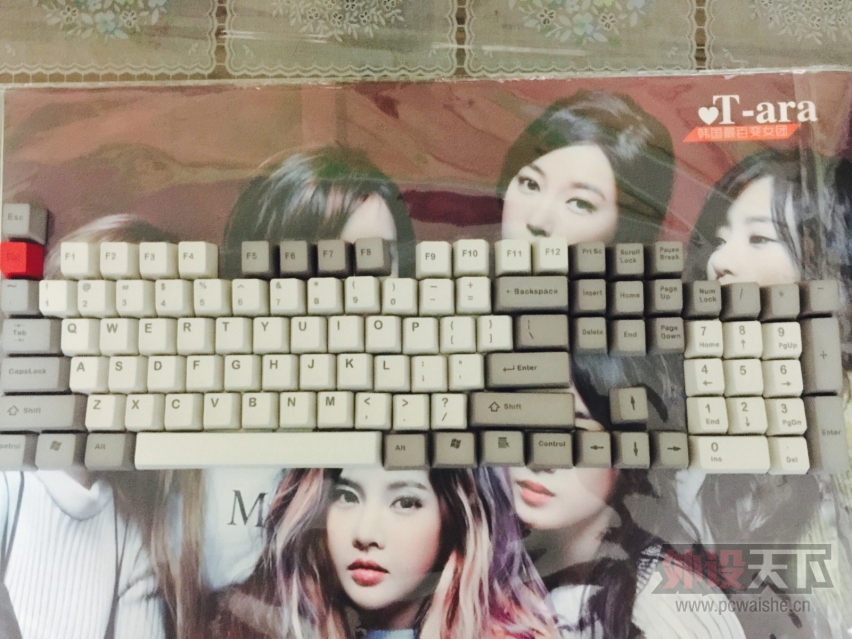 ���人�����ѳ���������ͬ��104�Ұ׶�ɫPBT��ñ