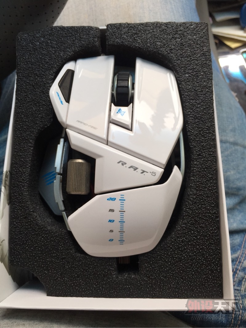 ���ѳ�������ʨRAT5