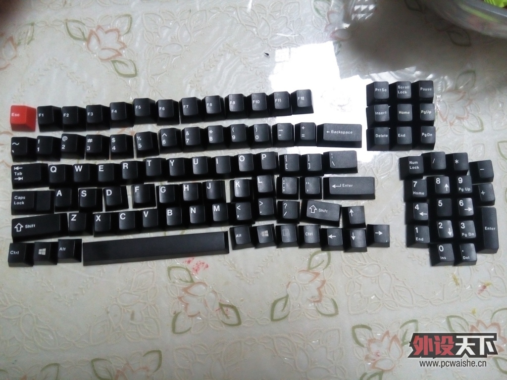 073810tsmmzpv87zj3g7qw.jpg