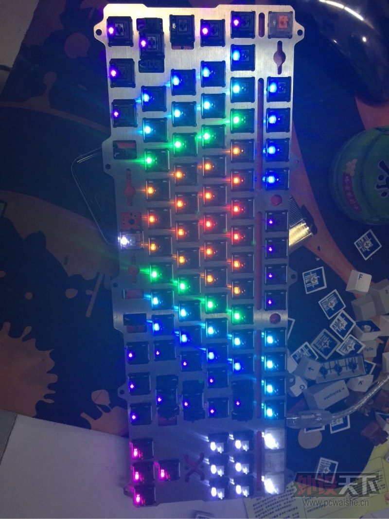 ӱDUCK ORION V1ɫ