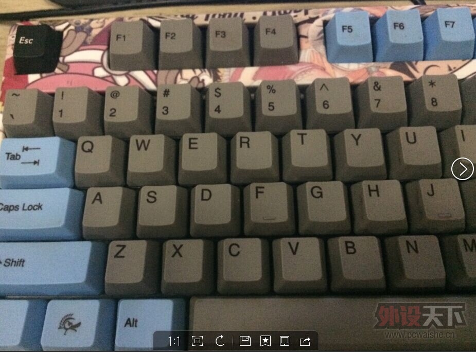 [�ݳ�] ��ɽ����Ducky������ɫ��������ñ