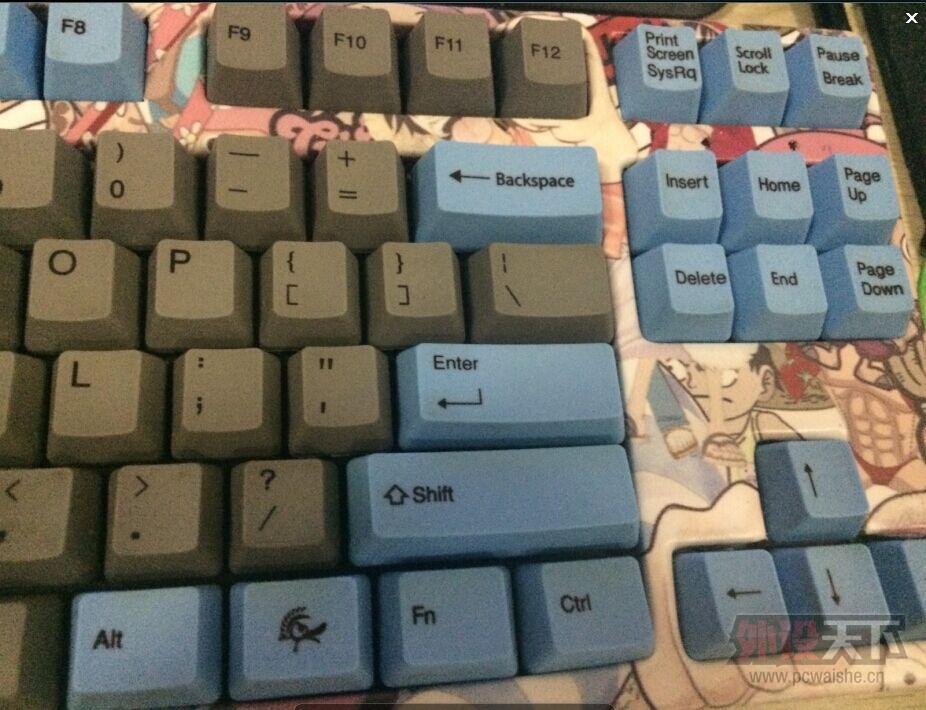 [�ݳ�] ��ɽ����Ducky������ɫ��������ñ