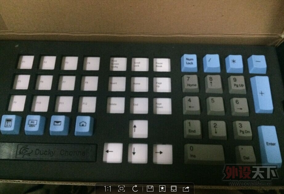 [�ݳ�] ��ɽ����Ducky������ɫ��������ñ