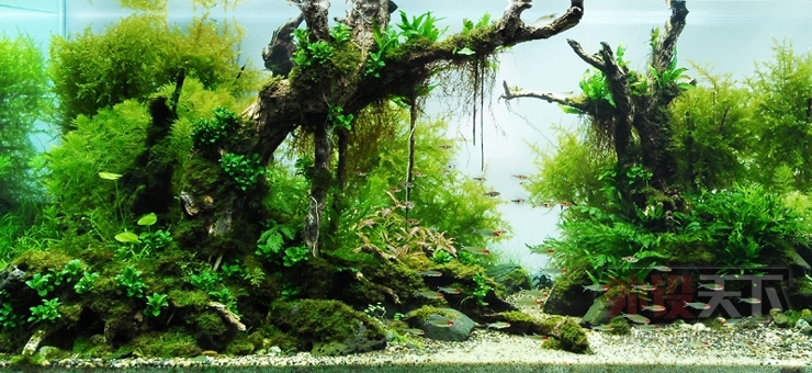 ���ֲ�װ�ޡ� ���뻨Ǯ������Ư����������Ǹ��⣡����