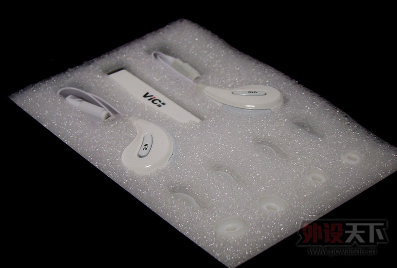 ���ܰ�  ViCޱ�� GHOST ���������˶���Ϸ����
