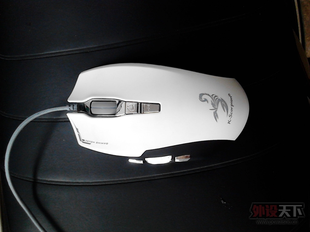 ������������ɭ�������ЫV58��95�£�90���տ죡