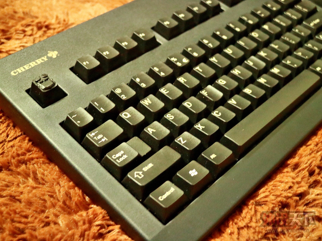 㽭ԭӣ3000 ڲ  ѵ