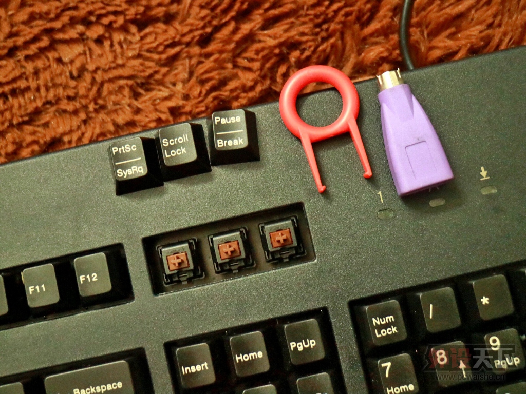 㽭ԭӣ3000 ڲ  ѵ