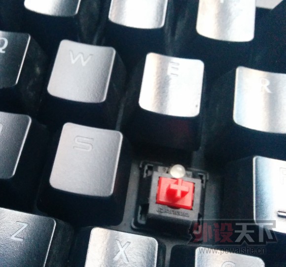 ��������ӣ��g80 3000���� noppoo87 ӣ�Һ�����ɫ����