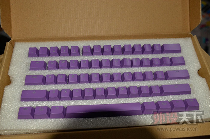 ����������ɫ��ñ���ӻ�