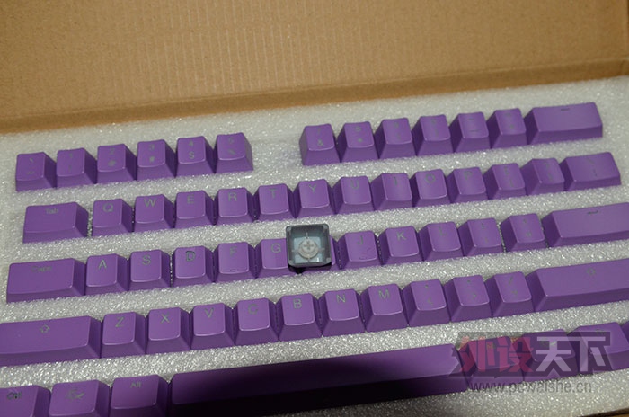 ����������ɫ��ñ���ӻ�