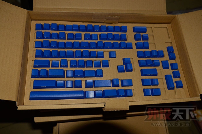 ����������ɫ��ñ���ӻ�