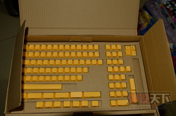 ����������ɫ��ñ���ӻ�