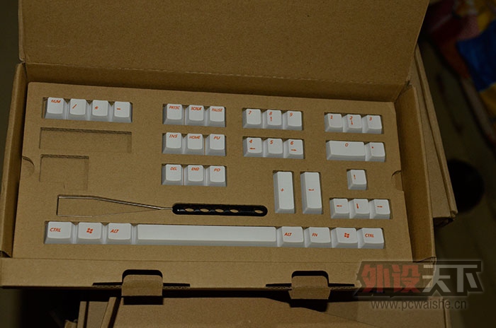 ����������ɫ��ñ���ӻ�