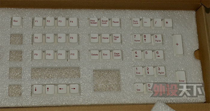 ����������ɫ��ñ���ӻ�