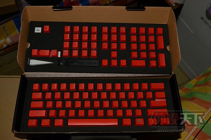 ����������ɫ��ñ���ӻ�