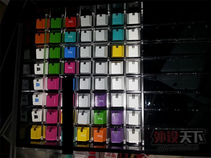 ����������ɫ��ñ���ӻ�