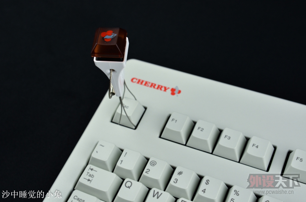 ����������ֵ~ CHERRYӣ�� G80-3494 ϡ�л��� ������������