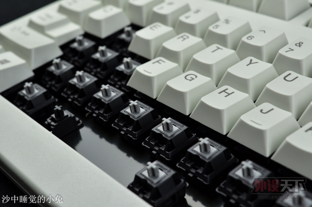 ����������ֵ~ CHERRYӣ�� G80-3494 ϡ�л��� ������������