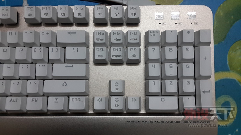 Ѷ�������-������������������