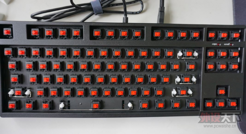 [�㽭]ʥ�ֶ�87�ں죬leopold������С����������