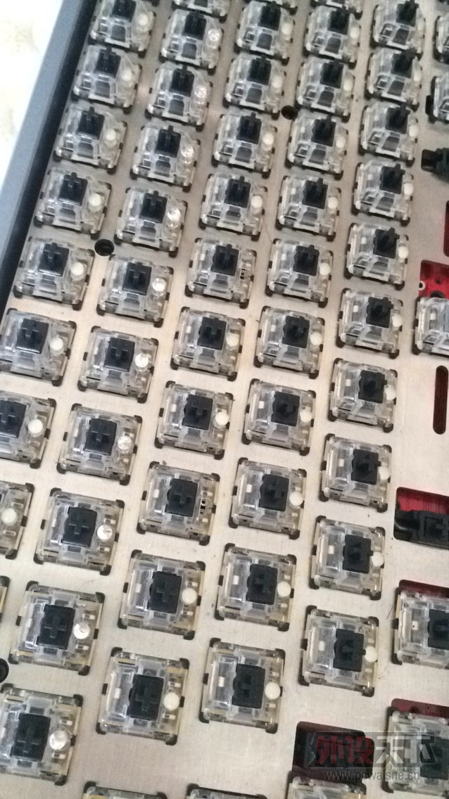 ���ɶ�������duck94 3494��ñ