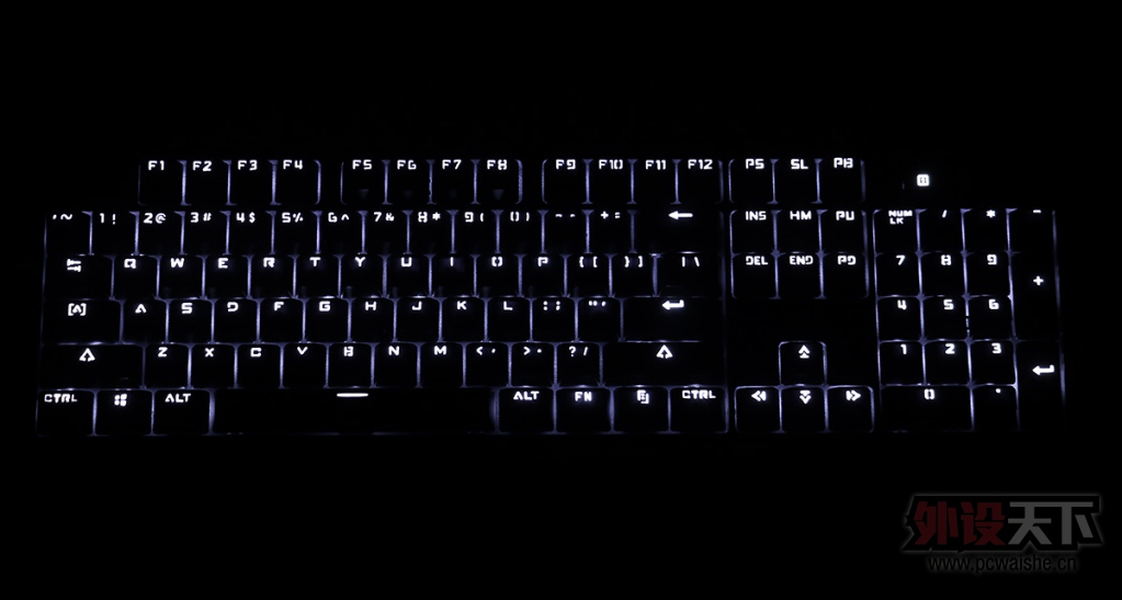 �����������ϵƣ���ϯ��Һ��ᱳ���е���������棡