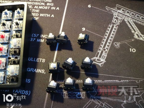 �����ݡ�PAD --���� GACnum��ɫ