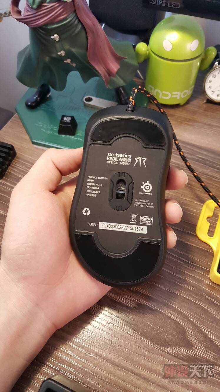 �����ݡ����۳������ ���������