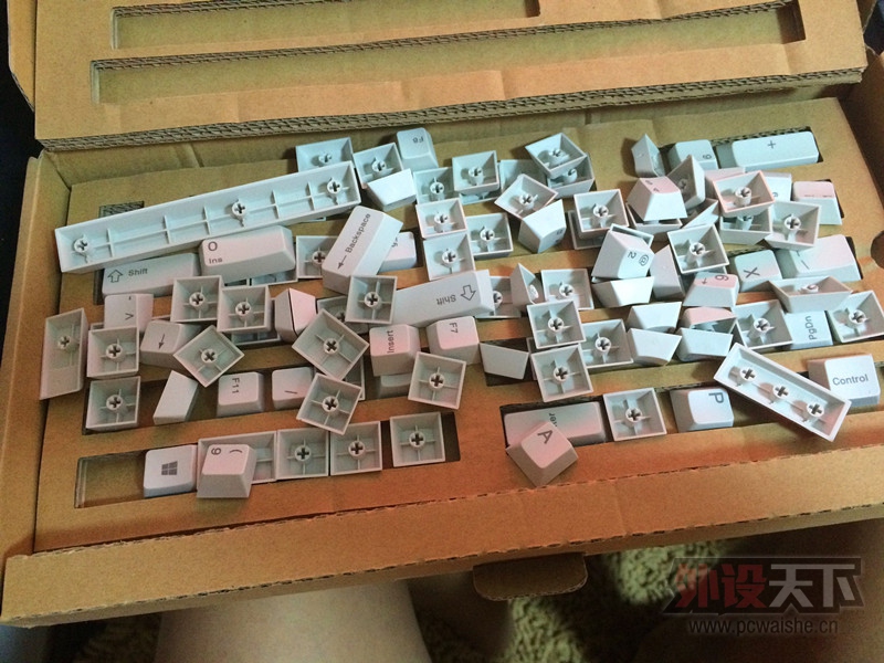 �����ݡ���Ѫ���㶫�� ����̳������