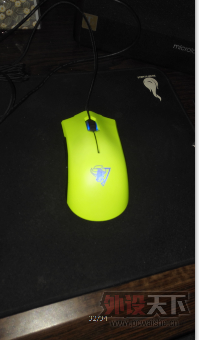 ��ɽ��������FF���һֻ