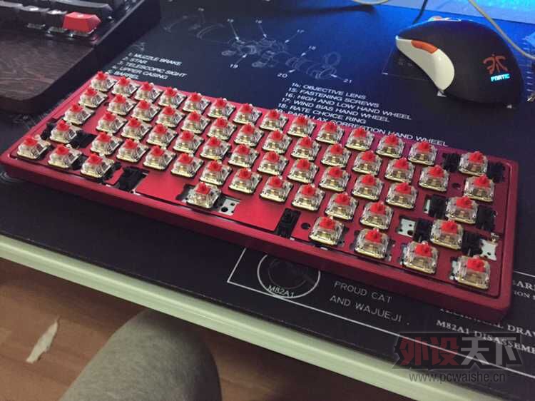 ���˷⣡������������������