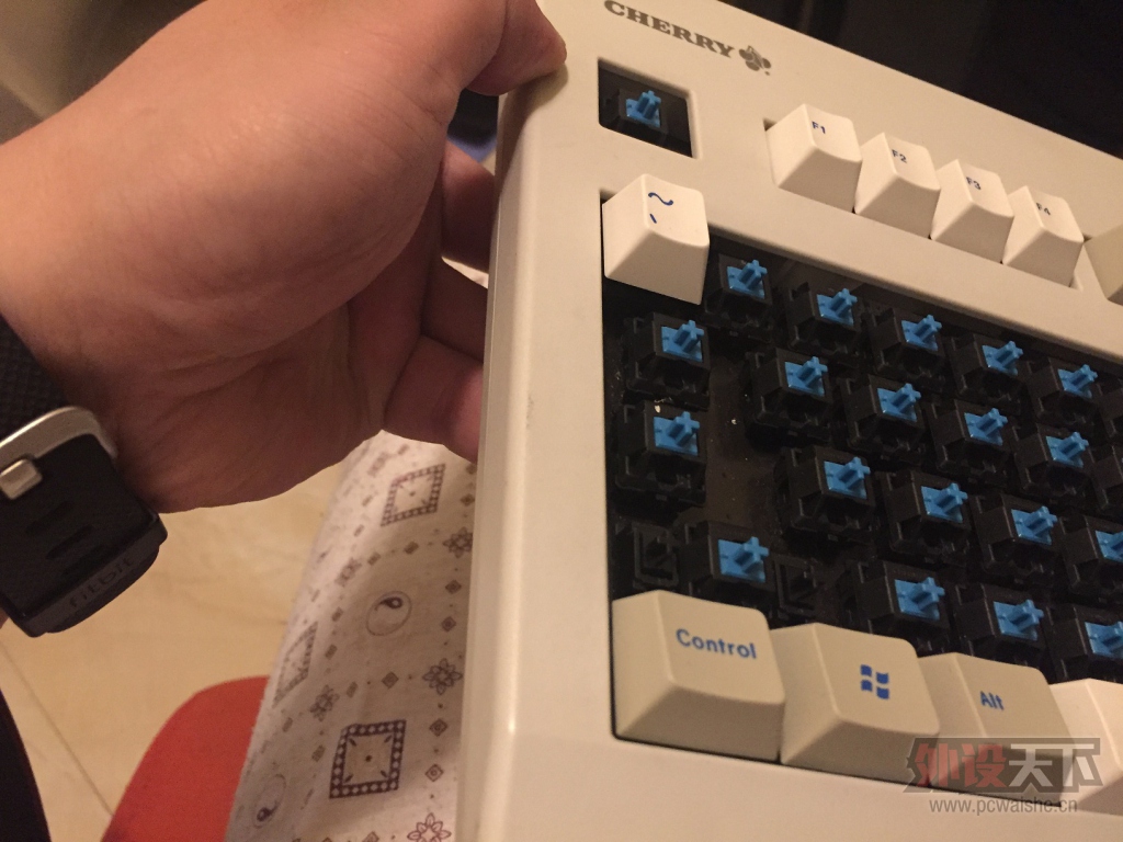 ���ɶ�����������ɫԭ��3000���Ṧ����ã�369���տ죨�ѳ���