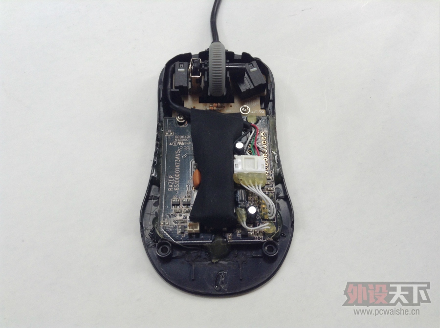 �����ա�����оKinzu ����