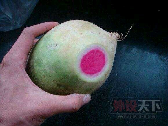 ��Щ�˾�Ȼ���Ÿ����Ҿ�Ц��