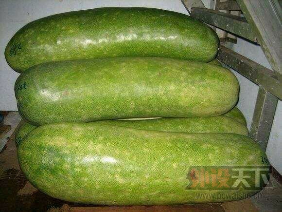 ��Щ�˾�Ȼ���Ÿ����Ҿ�Ц��